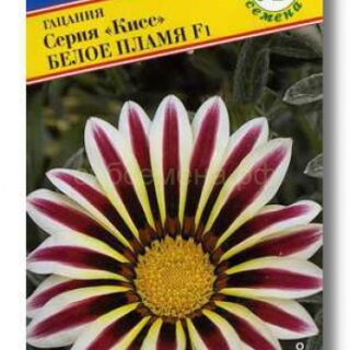 Гацания КИСС белое пламя /Престиж/5шт.