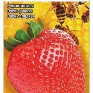 Земляника МЕДОВОЕ ЛЕТО /СибСад/