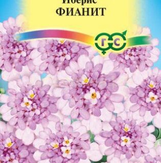 Иберис ФИАНИТ /Гавриш/