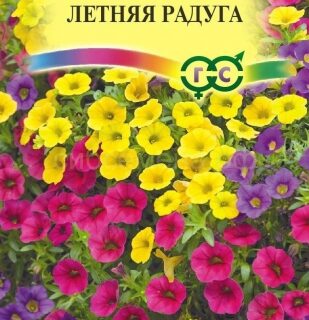 Калибрахоа ЛЕТНЯЯ РАДУГА  /Гавриш/