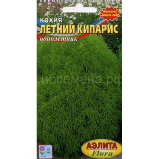 Кохия ЛЕТНИЙ КИПАРИС /Аэлита/