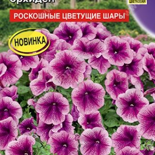 Петуния Мамбо F1 орхидея многоцветковая (Аэлита)