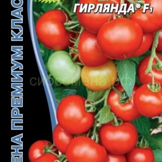 Томат Сибирская гирлянда F1 (УД)