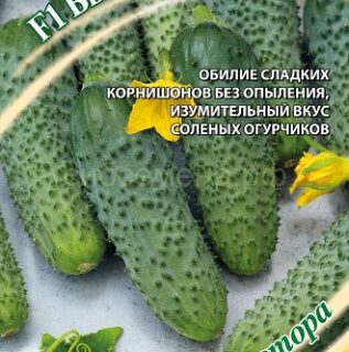 Огурец Быстрый старт F1 (Гавр)
