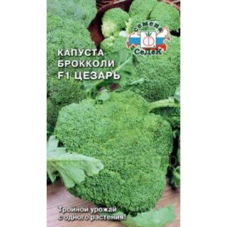 Капуста брокколи ЦЕЗАРЬ /СеДеК/