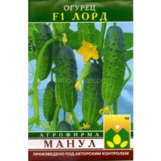 Огурец Лорд F1 (Манул)