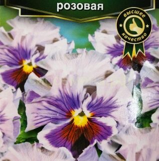 Виола КАН КАН F1, розовая /Аэлита/