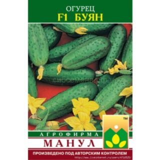 Огурец Буян /Манул/