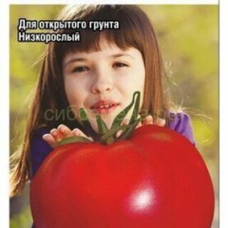 Томат Лентяйка (Сиб сад)