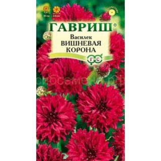 Василек ВИШНЕВАЯ КОРОНА /Гавриш/