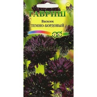 Василек Темно-бордовый /Гавриш/