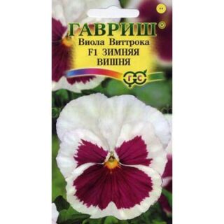 Виола ЗИМНЯЯ ВИШНЯ  /Гавриш/