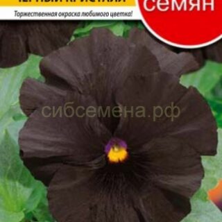 Виола ЧЕРНЫЙ КРИСТАЛЛ /НК/