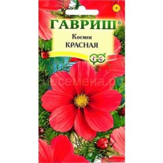 Космея КРАСНАЯ /Гавриш/
