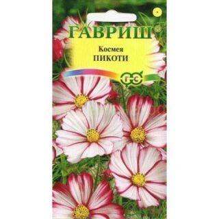 Космея ПИКОТИ /Гавриш/
