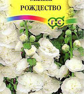 Мальва РОЖДЕСТВО/Гавриш/
