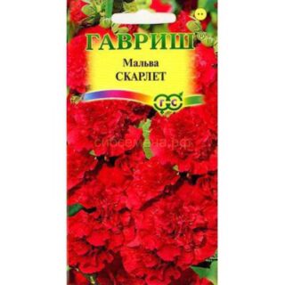 Мальва СКАРЛЕТ /Гавриш/