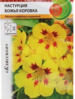 Настурция БОЖИЯ КОРОВКА /НК/