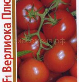 Томат 1+1/24шт Верлиока F1 (Гавр)