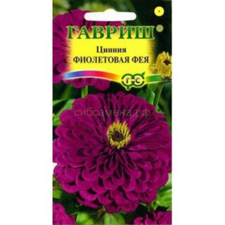 Цинния ФИОЛЕТОВАЯ ФЕЯ  /Гавриш/