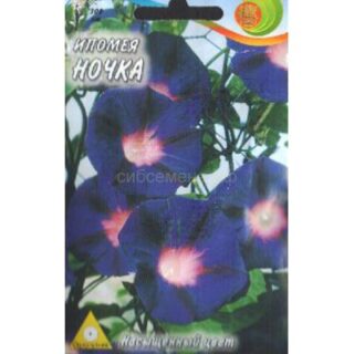 Ипомея НОЧКА (НК)