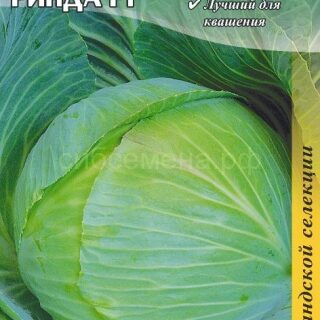 Капуста белокочанная РИНДА (Голландия),10 сем /цв./