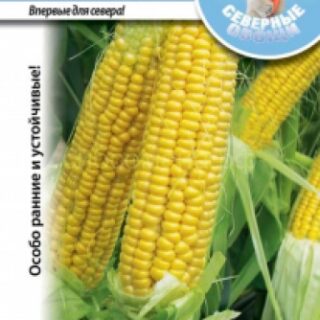 Кукуруза ЭКСТРА ЭРЛИ ЭКСТРА СВИТ суперсладкая (НК)