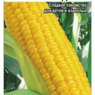Кукуруза Тройная сладость /СибСад/