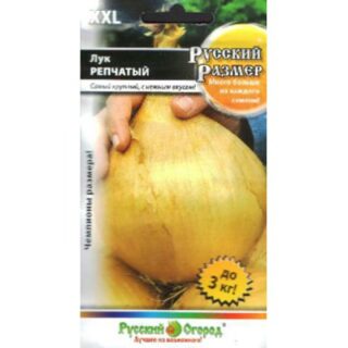 Лук репчатый РУССКИЙ РАЗМЕР ХХL /НК/