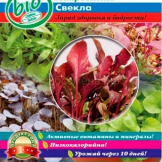 Микрозелень Свекла 6г (НК)