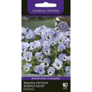 Фиалка рогатая Флорал Пауэр Марина Мн (П)