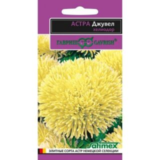 Астра ДЖУВЕЛ ХЕЛИОДОР (Гавриш)