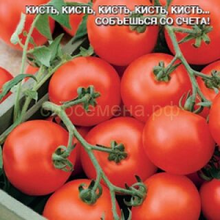 Томат Кистевой F1 (УД)