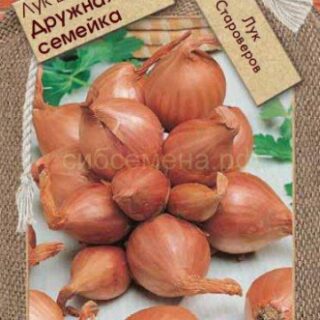 Лук шалот Дружная семейка (Премиум)