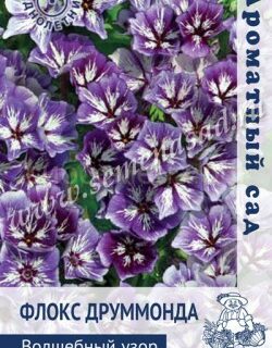 Флокс Волшебный узор (П)