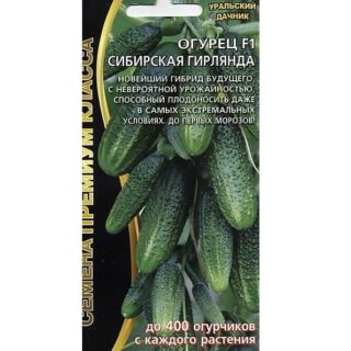 Огурец СИБИРСКАЯ ГИРЛЯНДА F1 /УД/