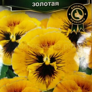 Виола КАН КАН F1, золотая /Аэлита/