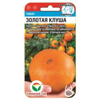 Томат ЗОЛОТАЯ КЛУША /СибСад/