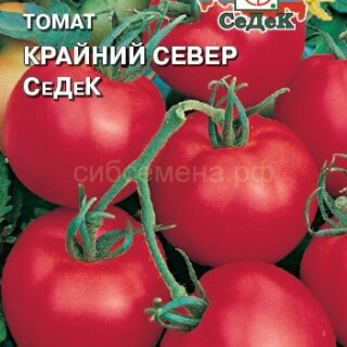 Томат КРАЙНИЙ СЕВЕР (Седек)