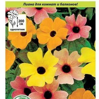 Тунбергия ЧЕРНОГЛАЗАЯ СЮЗАННА смесь(НК)