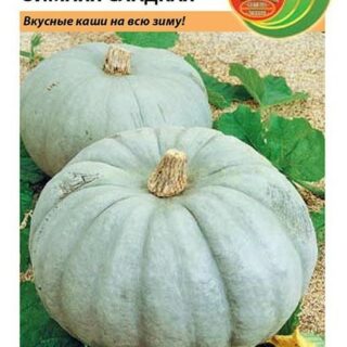 Тыква ЗИМНЯЯ СЛАДКАЯ /НК/
