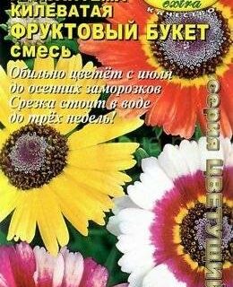 Хризантема ФРКУТОВЫЙ БУКЕТ килеватая смесь (Аэлита) /Аэлита/
