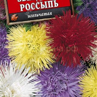 Астра Звездная россыпь смесь (Аэлита)
