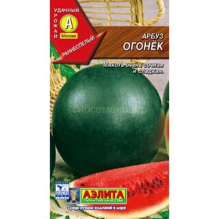 Арбуз Огонёк /Аэлита/ 1гр
