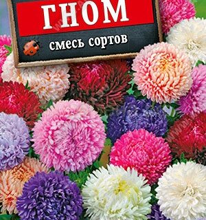 Астра Гном смесь /Аэлита/ 0,2гр