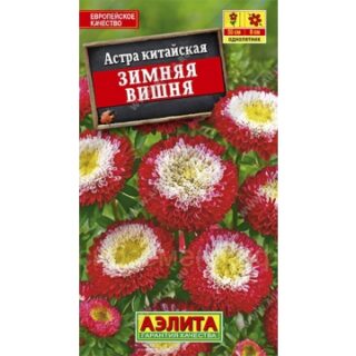 Астра ЗИМНЯЯ ВИШНЯ помпонная /Аэлита/ 0,2гр