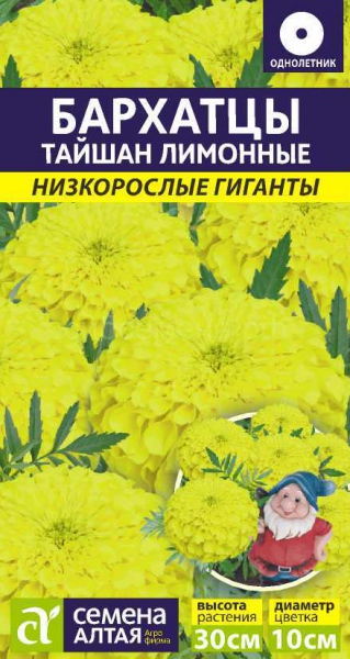 Бархатцы Тайшан Лимонные (Алтай)