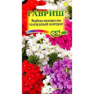 Вербена Нарядный бордюр низкая (Гавр)