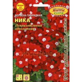 Вербена Ника гибридная /Аэлита/