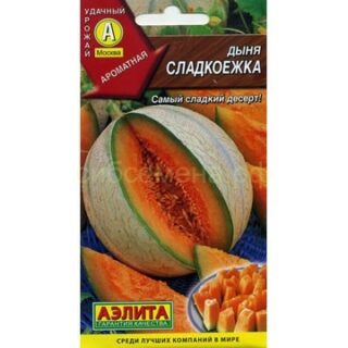 Дыня СЛАДКОЕЖКА /Аэлита/1гр.